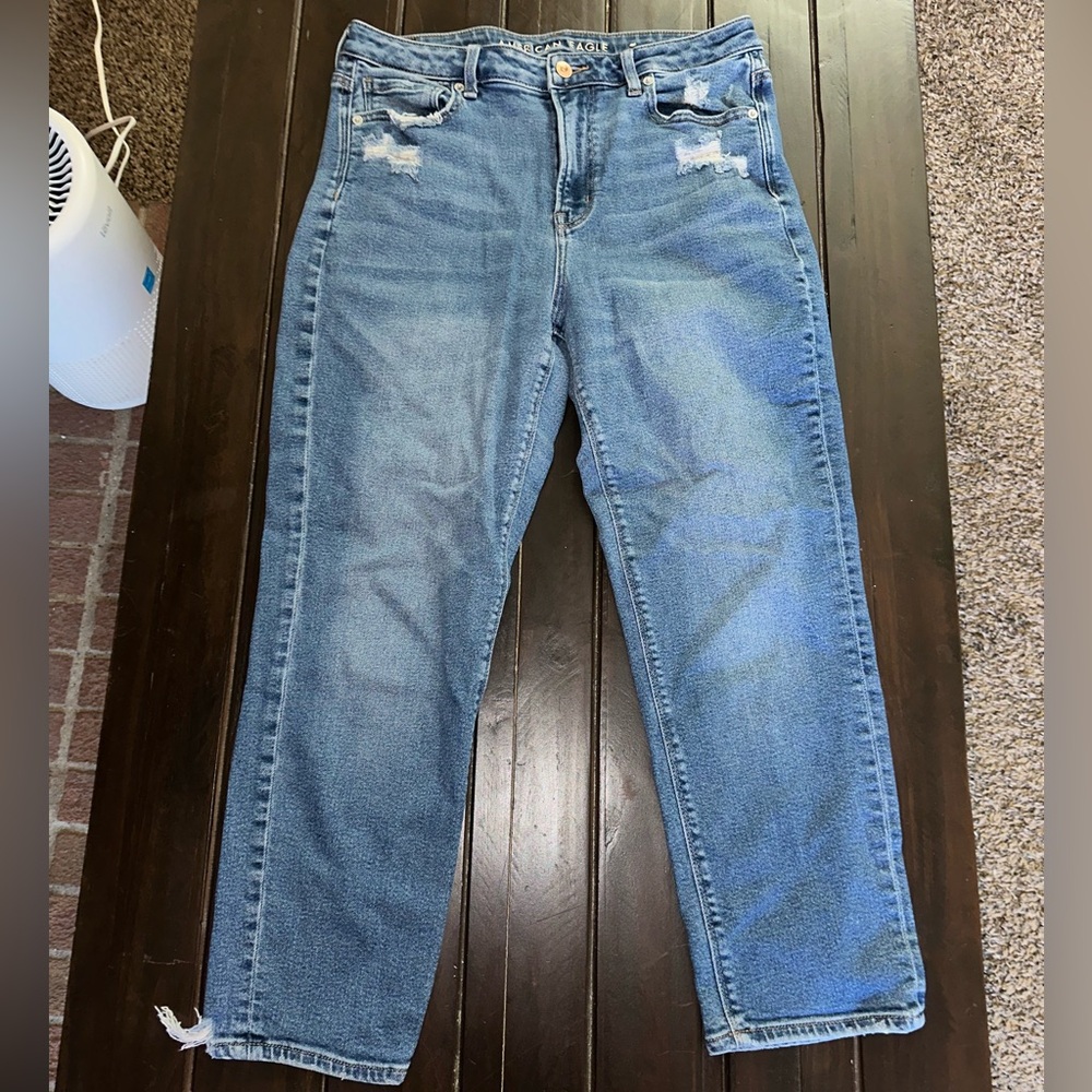 American Eagle Outfitters Distressed Denim Jeans | Size 10 Short